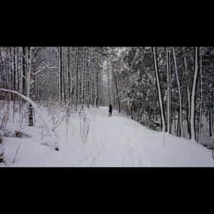 Meet your Posher, Marie